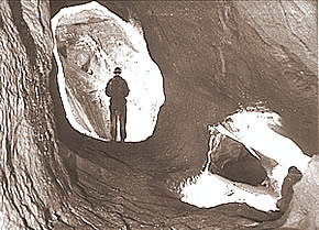 Jaskinia Miętusia, fot. M.Sygowski