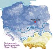 Jednostki tektoniczne Polski