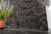 Pokruszone fragmenty stromatoporoidów widoczne w wapieniu dębnickim