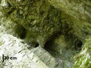Wnętrze salki jaskini Stare Piekło z charakterystyczną kolumienką i korytarzami krasowymi