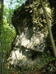 Wietrzejąca powierzchnia ściany skalnej zbudowanej z gruboławicowych wapieni oolitowych