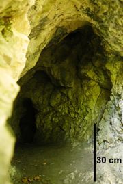 Zwężający się korytarz jaskini Piekło pod Małogoszczem 