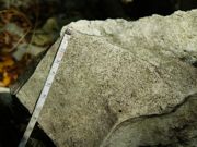 Wapień oolitowy, zbudowany z drobnych kuleczek wapiennych – ooidów