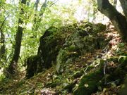 Ambony i progi skalne zbudowane z niemal pionowo stojących warstw wapieni pasiastych na wschodnim zboczu Góry Brodowej