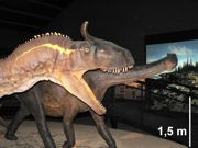 Dinozaury – twórcy tropów z Sołtykowa: scelidozaur wielki teropod (z przodu) i zauropod.