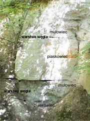 Skarpa w stanowisku nr 2 w widocznymi naprzemiennie warstwowanymi piaskowcami, mułowcami oraz trzema warstwami węgla (czarny kolor)