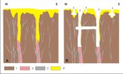 Schematyczny przekrój geologiczny przez kruszconośne żyły w wapieniach dewonu.